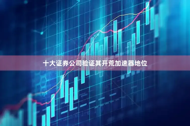 十大证券公司验证其开荒加速器地位